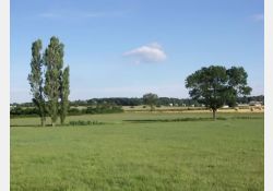 Le Barbeau