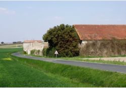 Visuel : D.R. Le Cailleau
