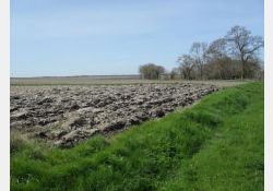 Le Chardon, au nord du Bois du Breuil / Visuel : D.R.