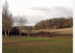 Le Château Vert - 02