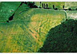 Le Château Vert, près du Fief de la Roche. Site néolithique (période de l'ère quaternaire qui termine la préhistoire) découvert par jacques Dassié en 1976,
confirmé par des contrôles de surface : céramiques, silex, haches polies. / Visuel : D.R.