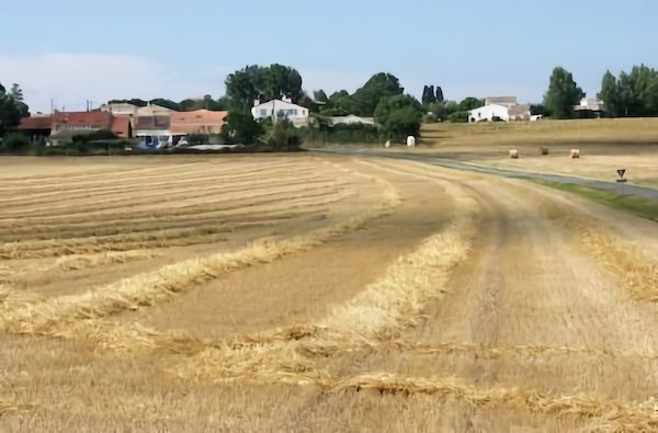 Le Chemin du Puits / Visuel : D.R.