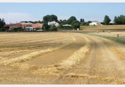 Visuel : D.R. Le Chemin du Puits