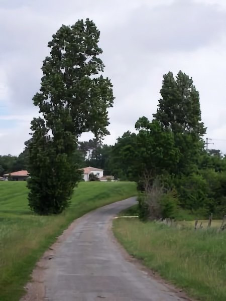 Le Pouilleau / Visuel : D.R.
