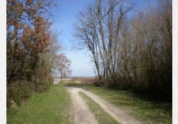 Le Sentier des Bournevelles
