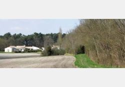 Les Ajoncs du Montil, au nord de ce hameau / Visuel : D.R.
