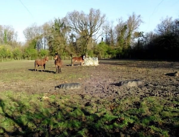 Les Artigaux (ou Artigauts) / Visuel : D.R.