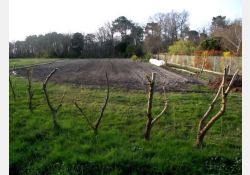 Les Ramigeards