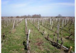 Les Sables de Mornac