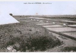 Paysage de marais salants, près de Mornac / Visuel : D.R.