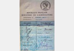 Permis de chasse, 1928 / Visuel : D.R.