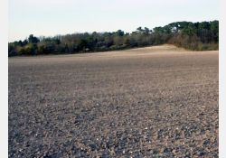 Pierrières, près du logis de Chalézac / Visuel : D.R.