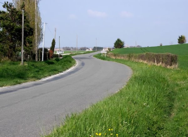 Route de Mornac / Visuel : D.R.
