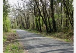 Sous le Bois de La Lande