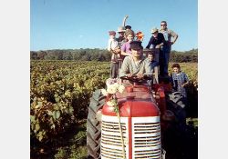 Vendanges - tracteur - 02 / Visuel : D.R.