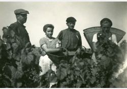 Vendangeurs à Breuillet en 1943 / Visuel : D.R.